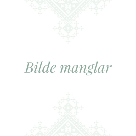 Bilde-manglar.jpg